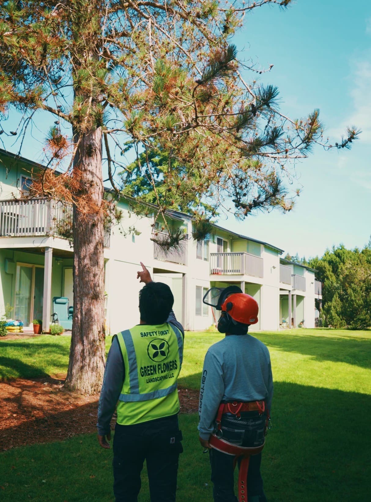 Tree Services